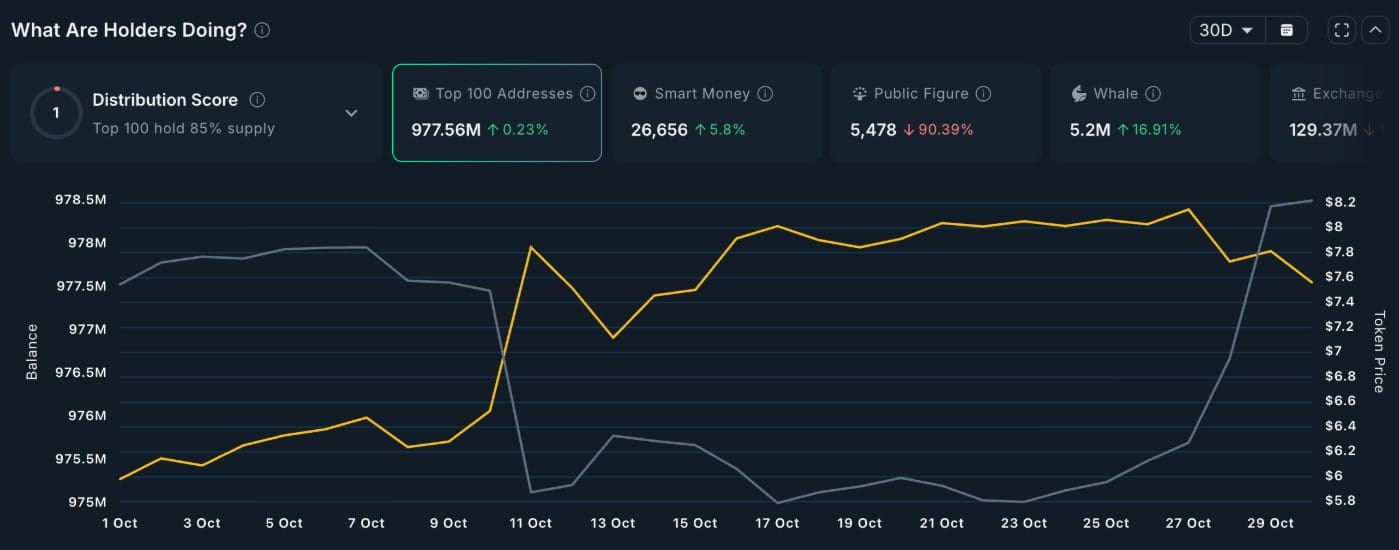 TRUMP Coin in Rally: Why November Could Be the Month of the Turning Point