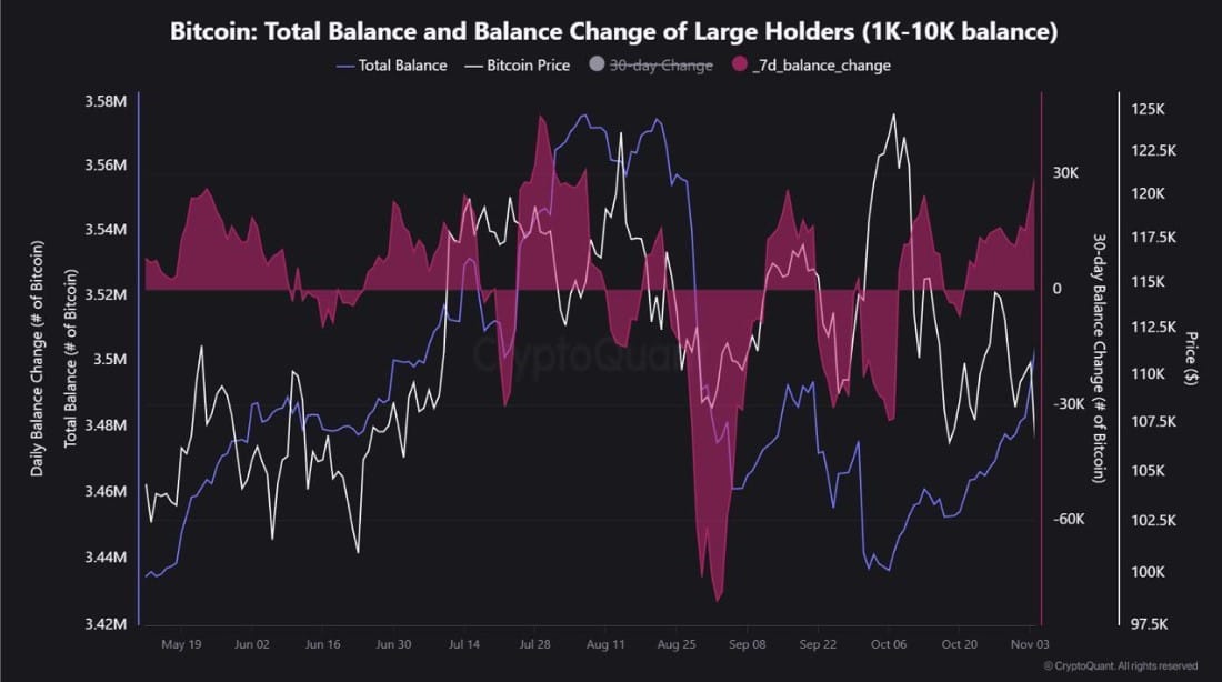比特币 "鲸鱼 "卷土重来：无视崩盘累积 29,600 BTC