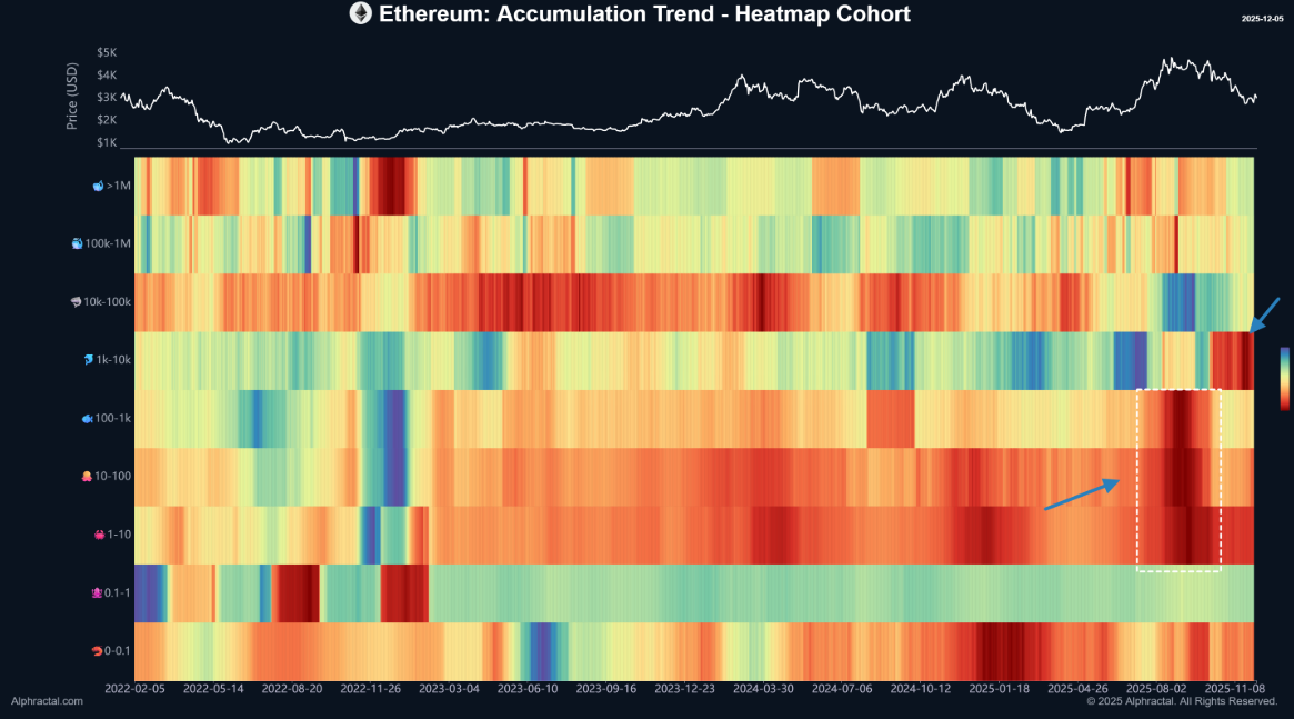 BitMine Accumula Ethereum: Acquisti Record da 200 Milioni